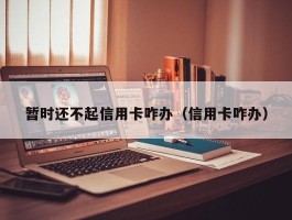 暂时还不起信用卡咋办（信用卡咋办）