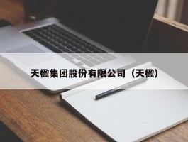 天楹集团股份有限公司（天楹）