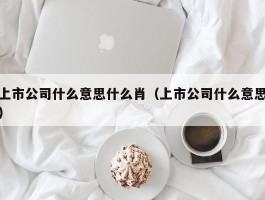 上市公司什么意思什么肖（上市公司什么意思）