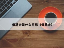 母基金是什么意思（母基金）