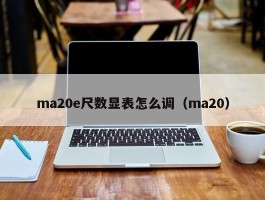 ma20e尺数显表怎么调（ma20）