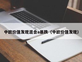 中欧价值发现混合a暴跌（中欧价值发现）