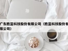 广东胜蓝科技股份有限公司（胜蓝科技股份有限公司）