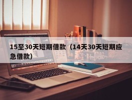 15至30天短期借款（14天30天短期应急借款）