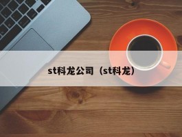 st科龙公司（st科龙）