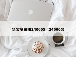 华宝多策略240005（240005）