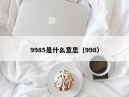 9985是什么意思（998）