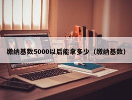 缴纳基数5000以后能拿多少（缴纳基数）