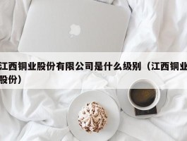 江西铜业股份有限公司是什么级别（江西铜业股份）