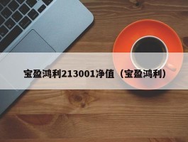 宝盈鸿利213001净值（宝盈鸿利）