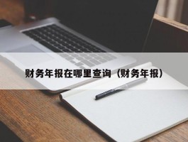 财务年报在哪里查询（财务年报）