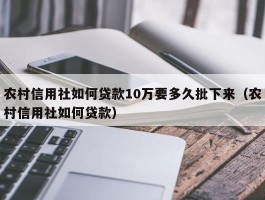 农村信用社如何贷款10万要多久批下来（农村信用社如何贷款）