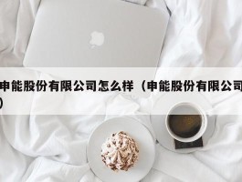 申能股份有限公司怎么样（申能股份有限公司）