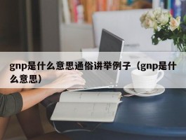 gnp是什么意思通俗讲举例子（gnp是什么意思）