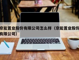 京能置业股份有限公司怎么样（京能置业股份有限公司）