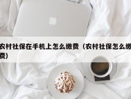 农村社保在手机上怎么缴费（农村社保怎么缴费）