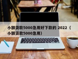 小额贷款5000急用好下款的 2022（小额贷款5000急用）