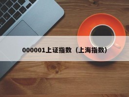 000001上证指数（上海指数）