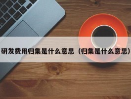 研发费用归集是什么意思（归集是什么意思）